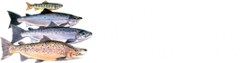logo-new-white.png