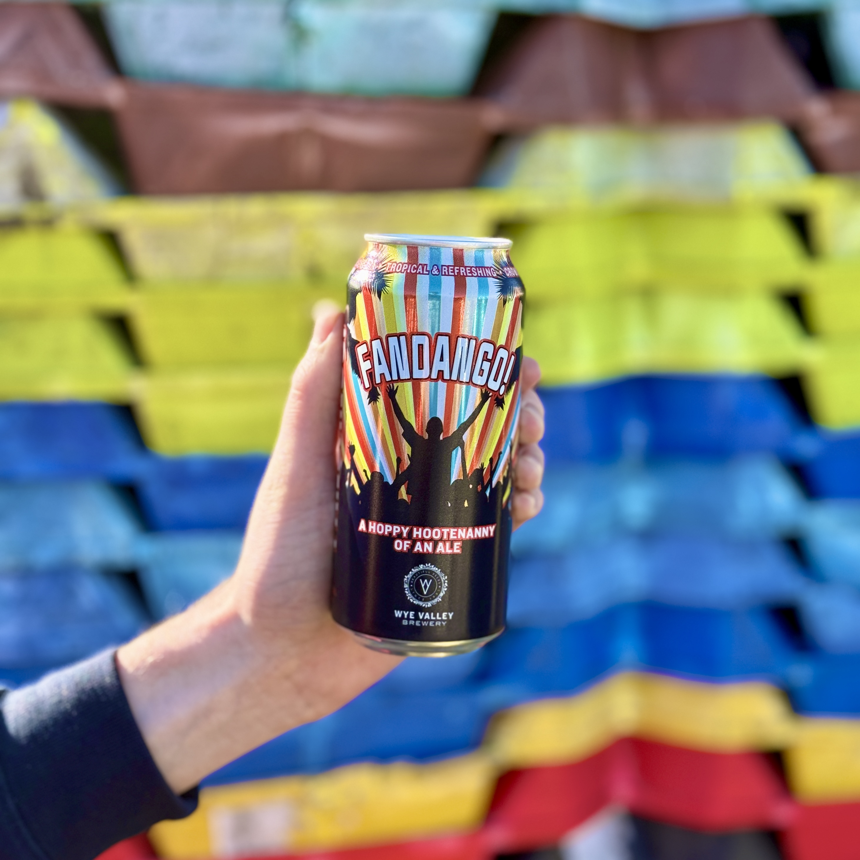 Image of 12x440ml Fandango Cans
